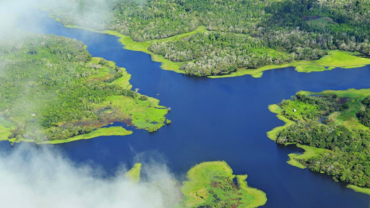 Aerial view of the Amazon rainforest near Manaus, Brazil — the forest whose fate is on the ballot in Brazil's October 25, 2026 presidential runoff.